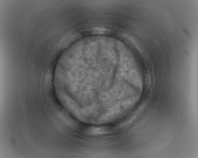 X0000113600557200910161908