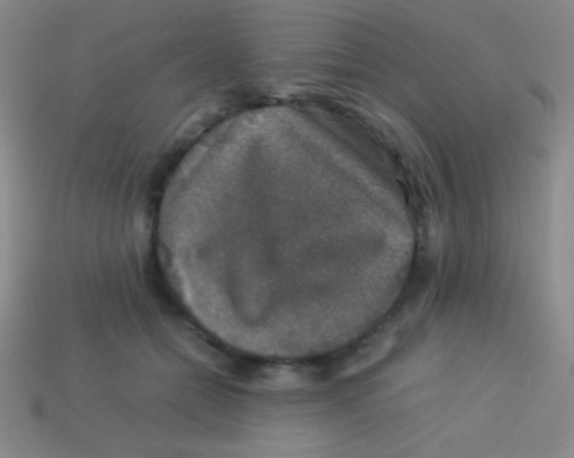 X0000113600558200910161908