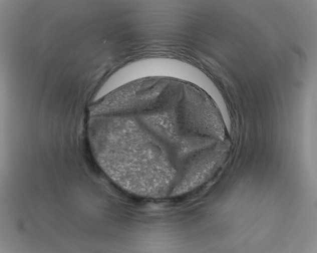 X0000113600560200910161908