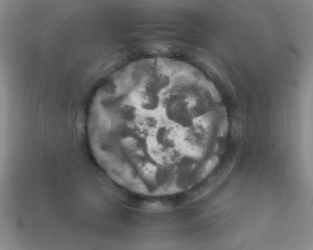 X0000113600561200910161908