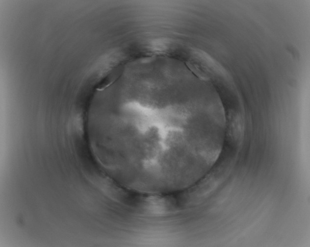 X0000113600562200910161908