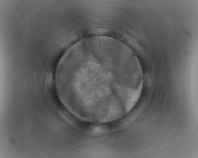 X0000113600564200910161908