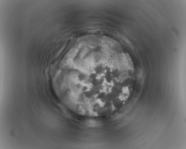 X0000113600565200910161908