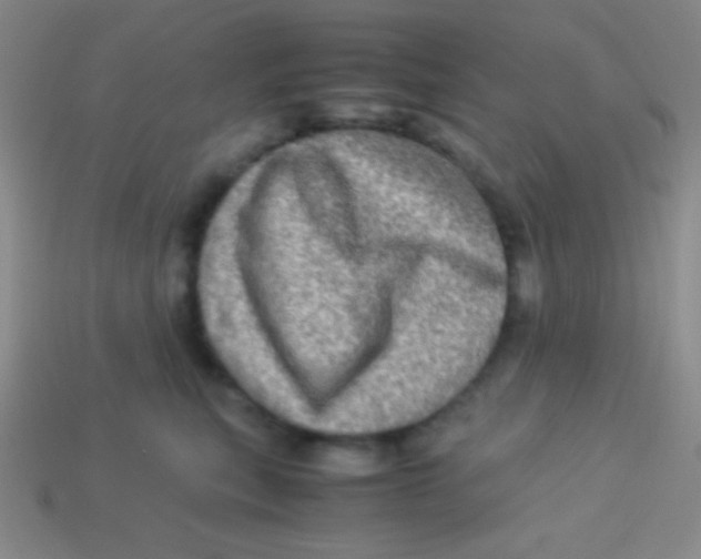 X0000113600567200910161908