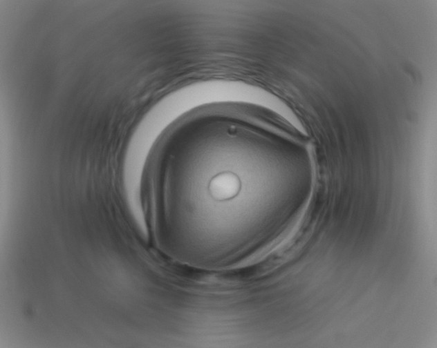 X0000113600568200910161908