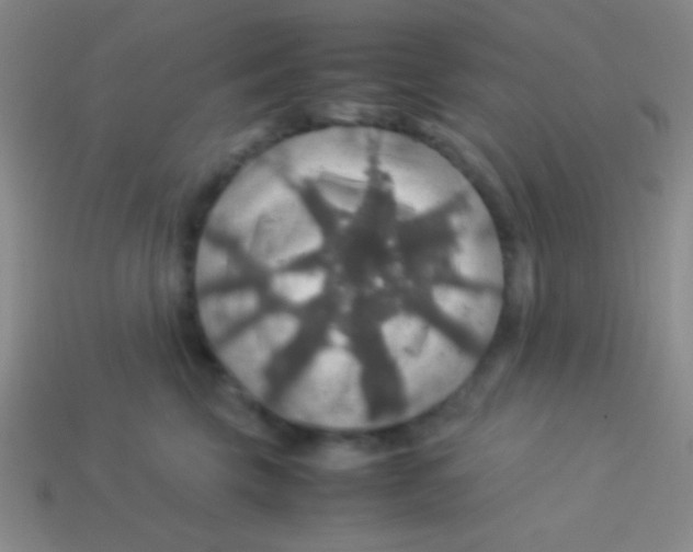 X0000113600569200910161908