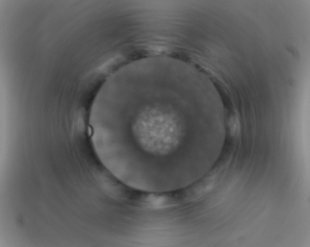 X0000113600570200910161908