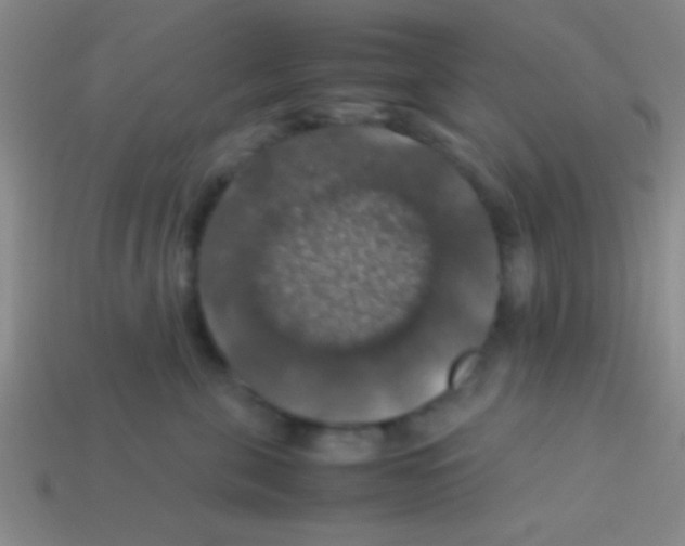 X0000113600571200910161908