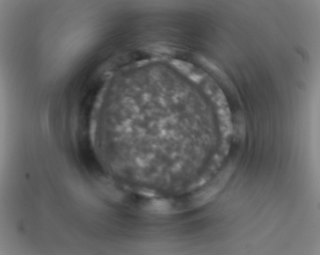 X0000113600573200910161908