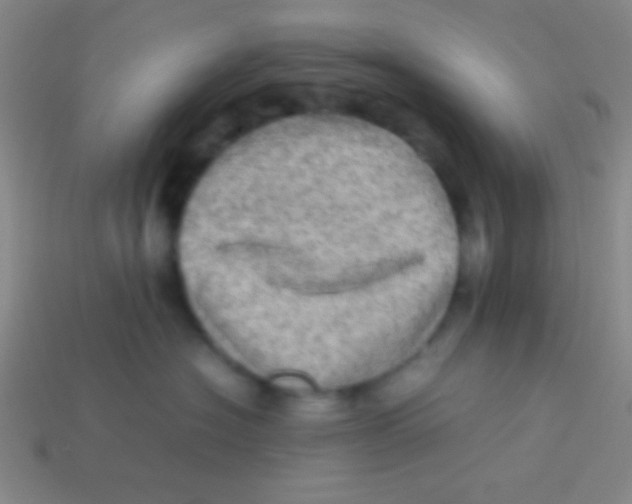 X0000113600574200910161908