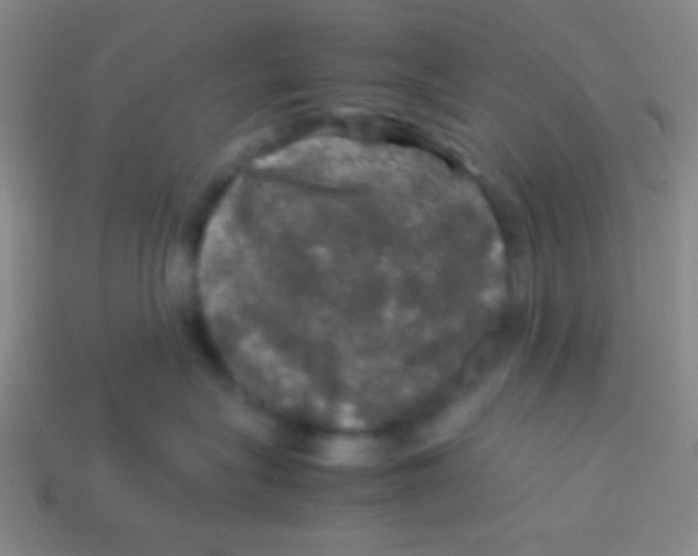 X0000113600575200910161908