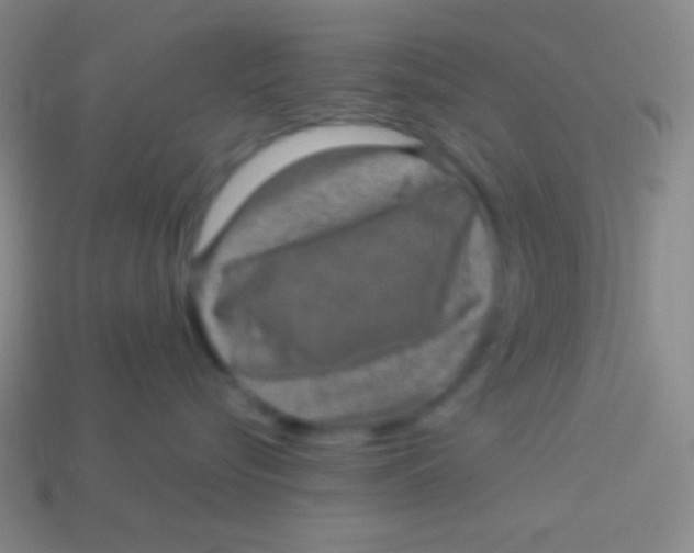 X0000113600576200910161908