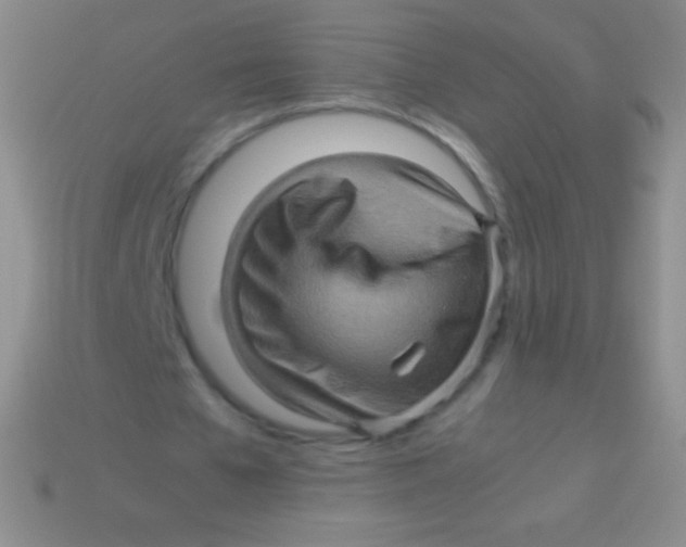 X0000113600577200910161908