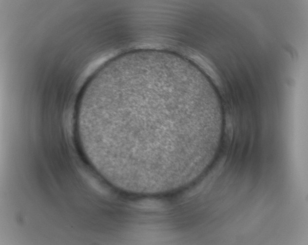 X0000113600578200910161908