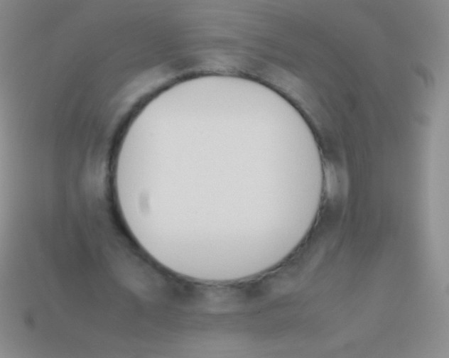 X0000113600579200910161908