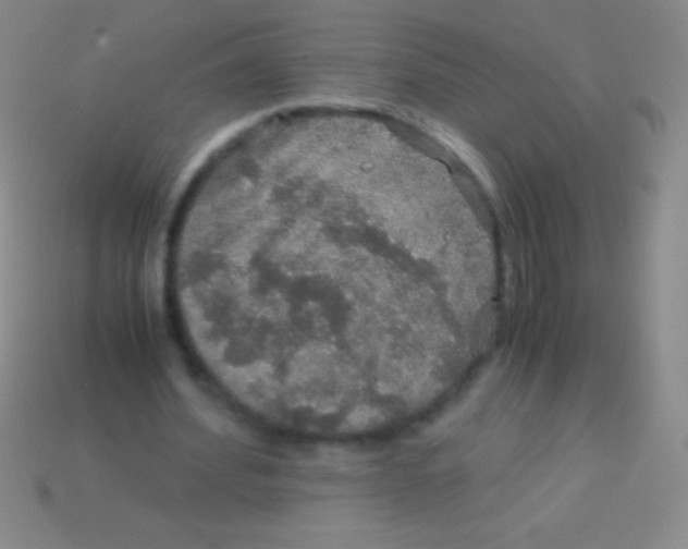 X0000113600580200910161908