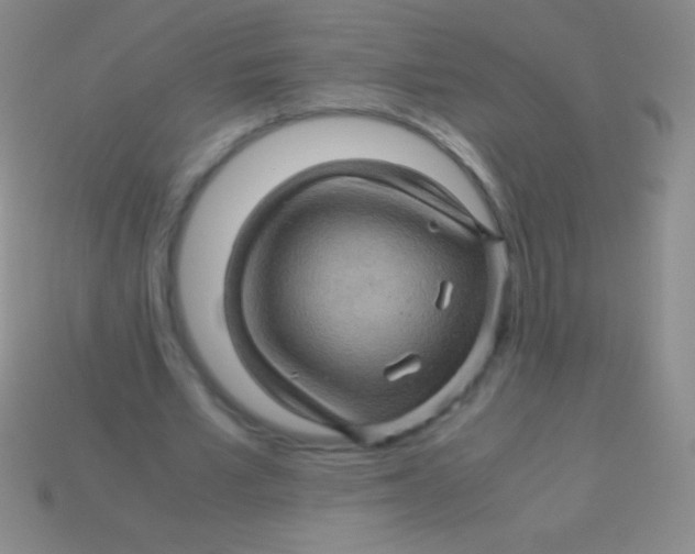 X0000113600581200910161907