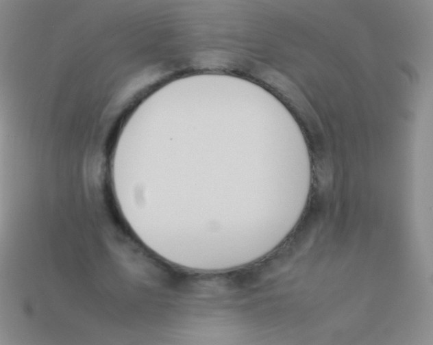 X0000113600583200910161907