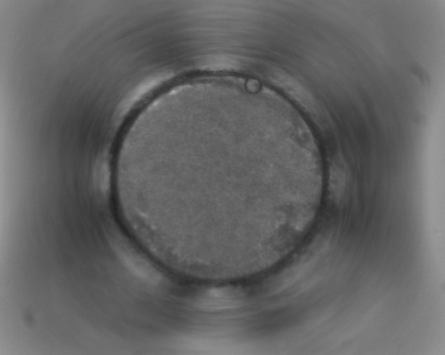 X0000113600584200910161907