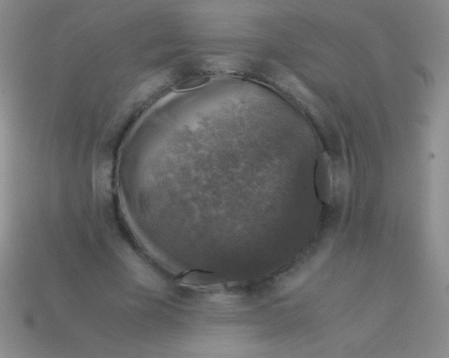 X0000113600585200910161907