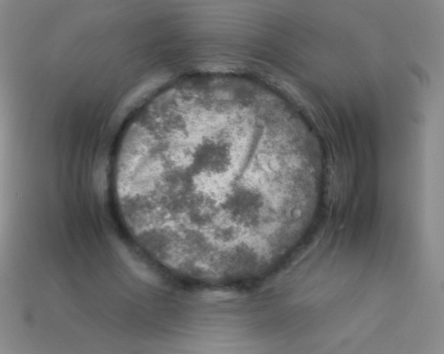 X0000113600586200910161907