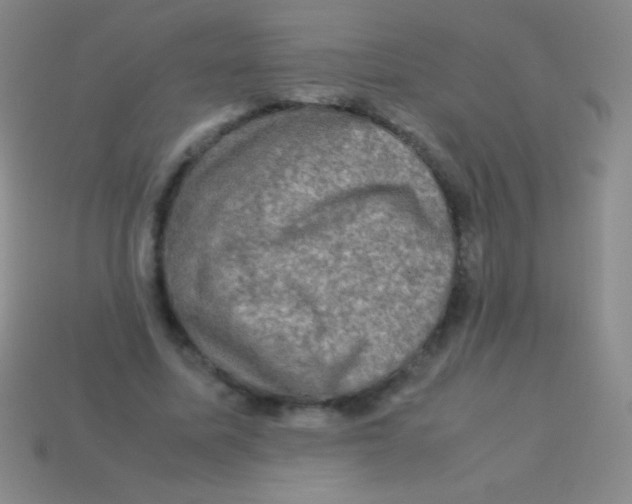 X0000113600587200910161907