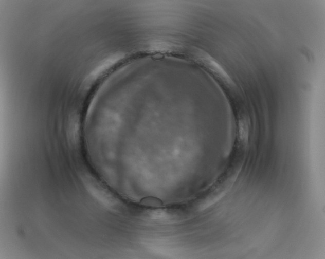 X0000113600588200910161907