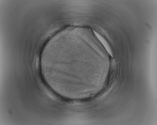 X0000113600589200910161907