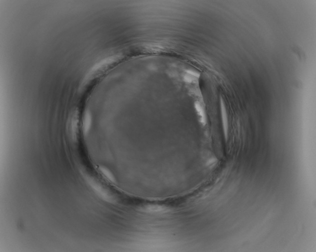 X0000113600590200910161907