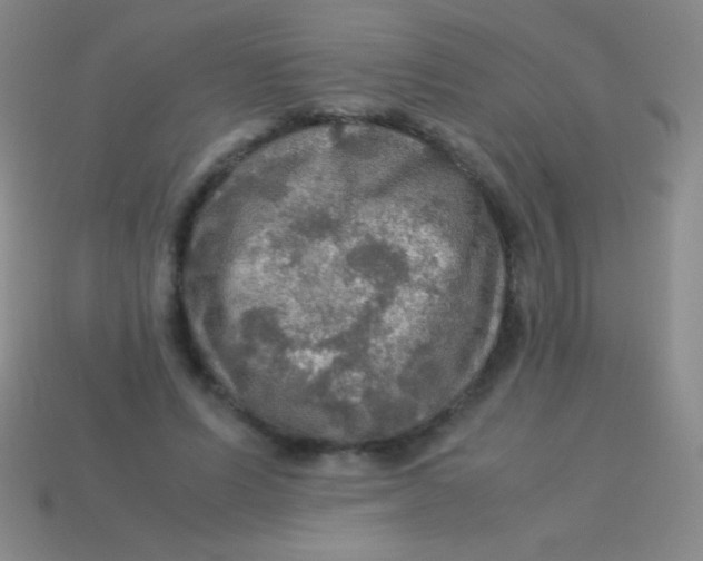 X0000113600591200910161907