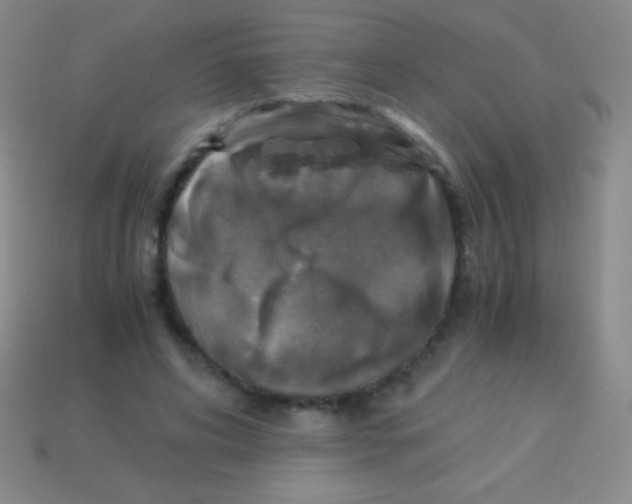 X0000113600592200910161907