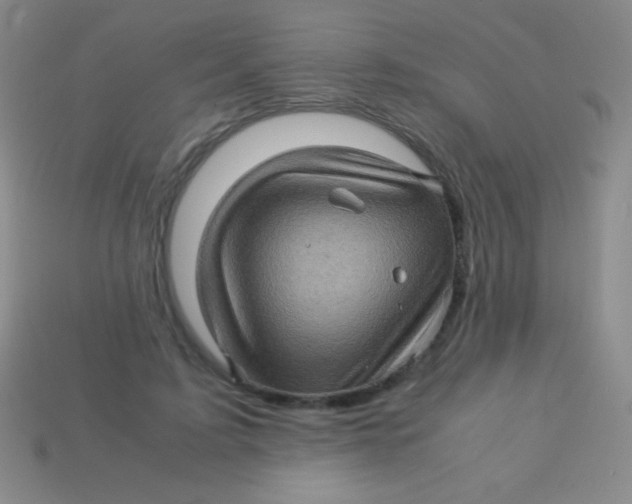 X0000113600595200910161907