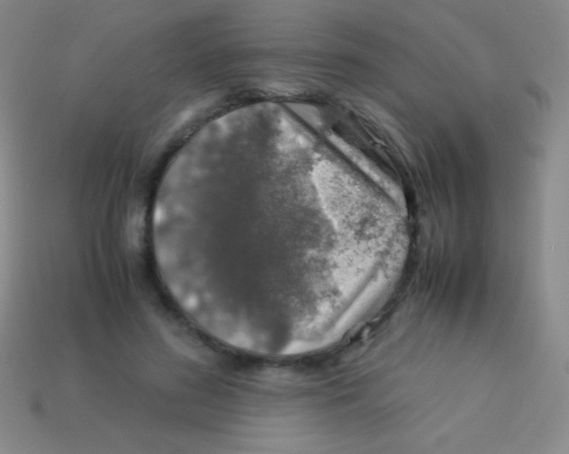 X0000113600596200910161907