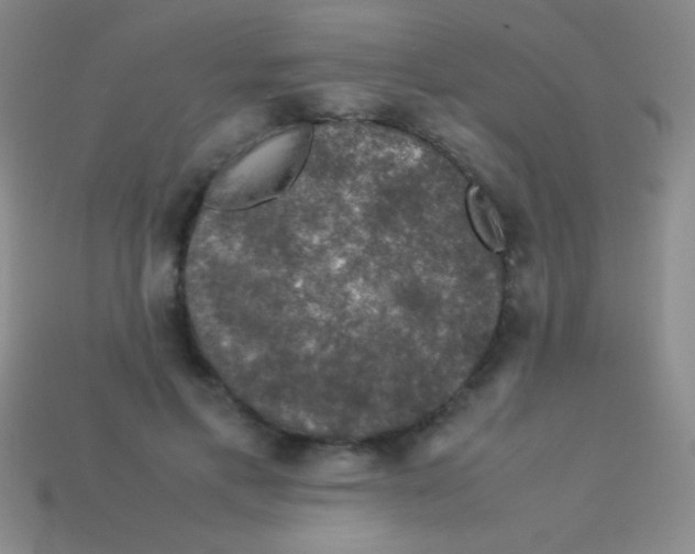 X0000113600597200910161907