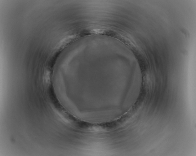 X0000113600598200910161907