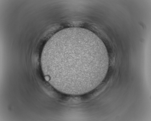 X0000113600599200910161907