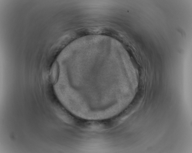 X0000113600601200910161907