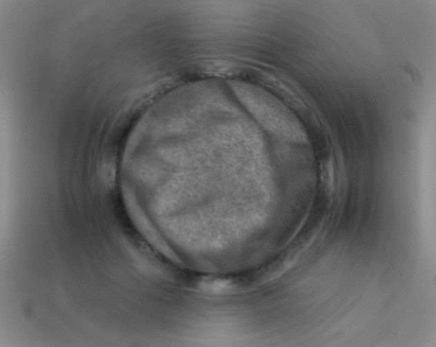 X0000113600602200910161907