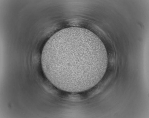 X0000113600603200910161907