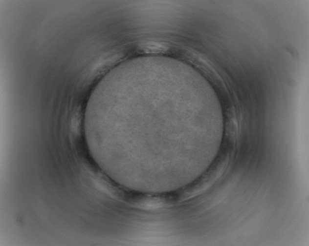 X0000113600604200910161907