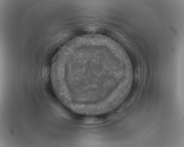 X0000113600605200910161907