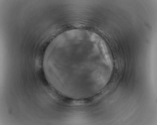 X0000113600606200910161907