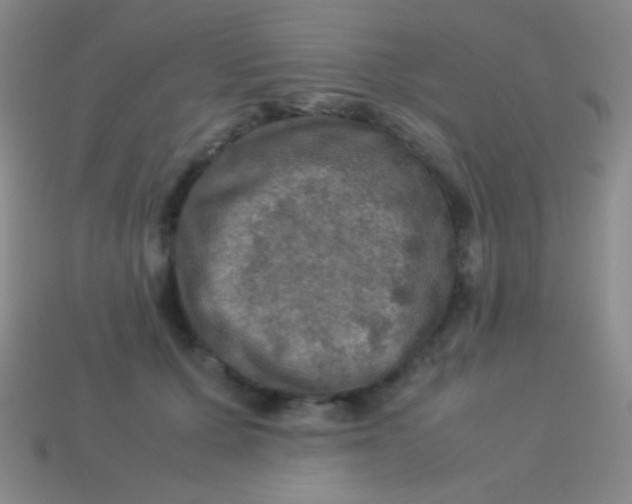 X0000113600607200910161907