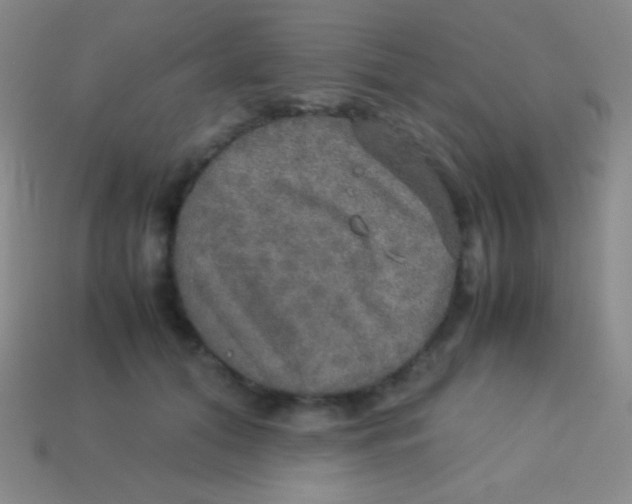 X0000113600608200910161907