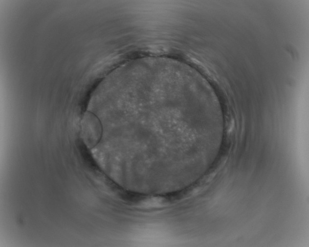 X0000113600609200910161907