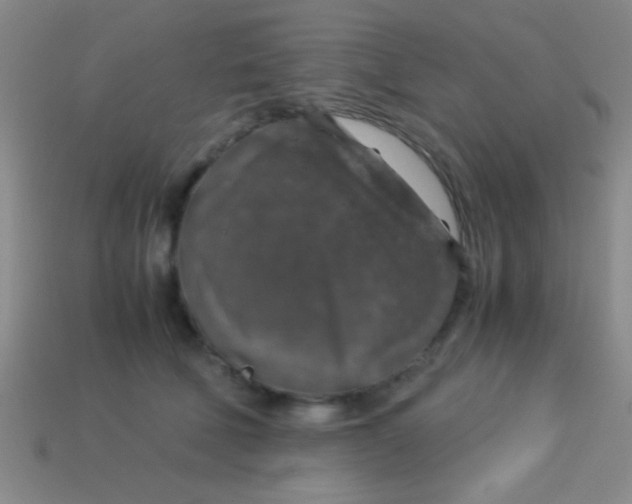 X0000113600610200910161907