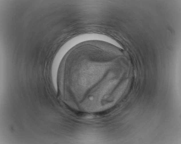 X0000113600611200910161907