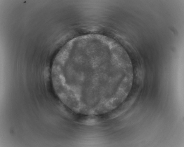 X0000113600612200910161907