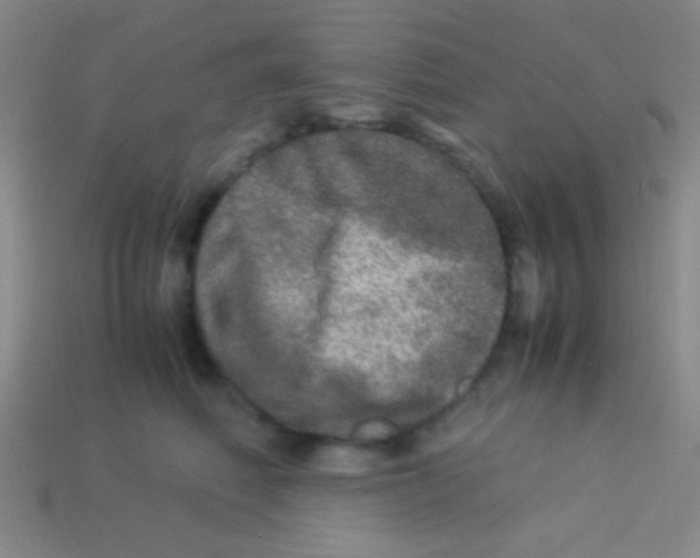 X0000113600614200910161907