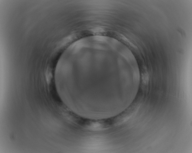 X0000113600618200910161907